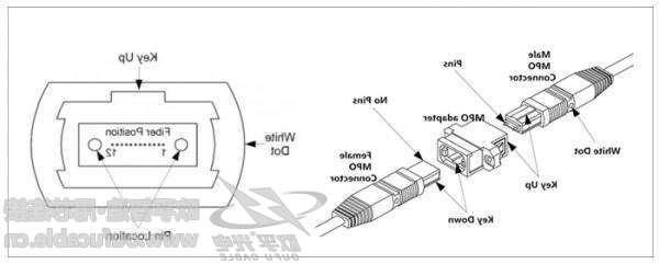 欧孚光纤光缆厂 MPO光纤跳线的极性分类和芯数设计